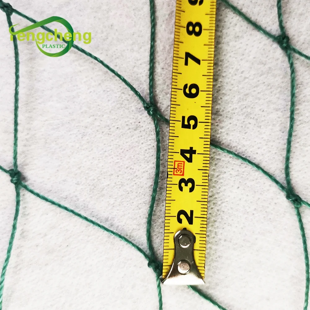 Agriculture HDPE with UV Material Anti Bird Net High Quality Pond Fish Net