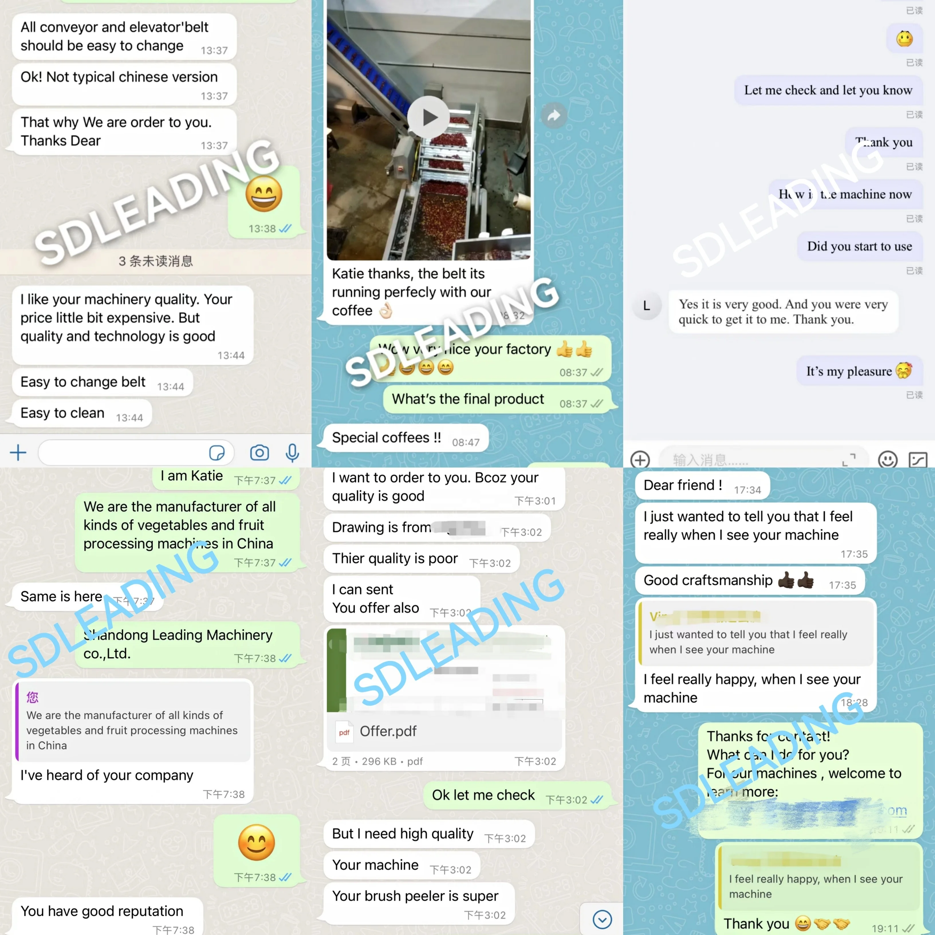 Brush Mango Grape Watermelon Peach Cleaning Date Washing and Drying Machine