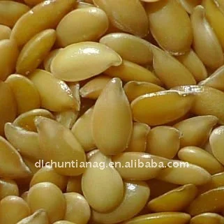 Top Selling Natural Golden Flaxseed Bulk Supplier