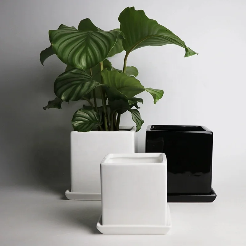 Factory Custom Square Ceramic Flower Pot Tray Indoor Garden Succulent Planter Available White Black Gray Nursery Desktop Use