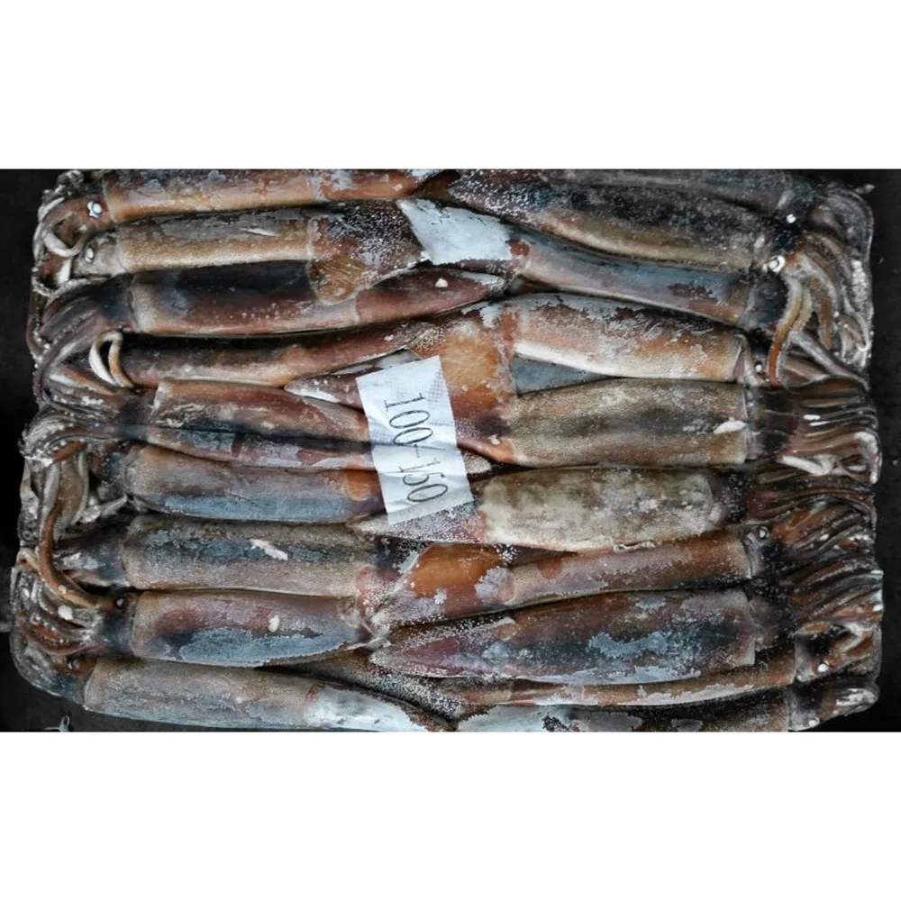 Китайский экспортер Замороженные Кальмары illex loligo замороженные argentina кальмары
