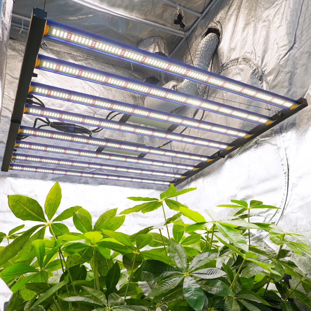 Super Indoor Greenhouse Full Spectrum Vertical Farming Aquaponics Hydroponic Growing Systems Led Grow Lights EU Warehouse