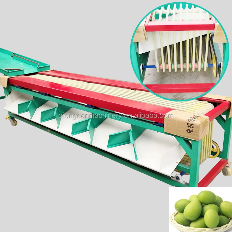 Vegetable/fruit sorting machine Olive Jujube Date palm Plum lemon Strawberry Blueberry Shame Areca Mangosteen grading machine