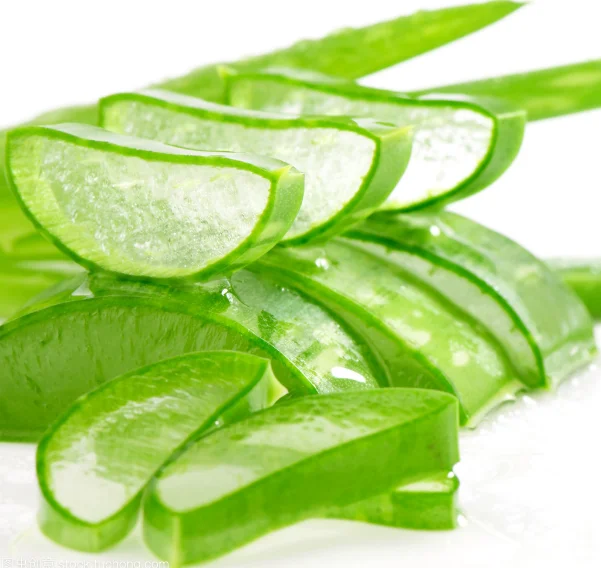 
Wholesale Aloe Vera Plant Extract 10:1 Organic Aloe Vera Extract Powder 