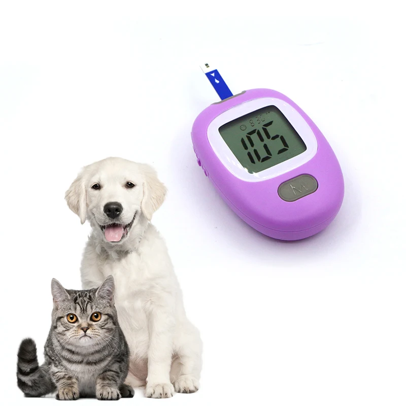 BERRY Diabetic products Products for diabetics Diabetic products for pets