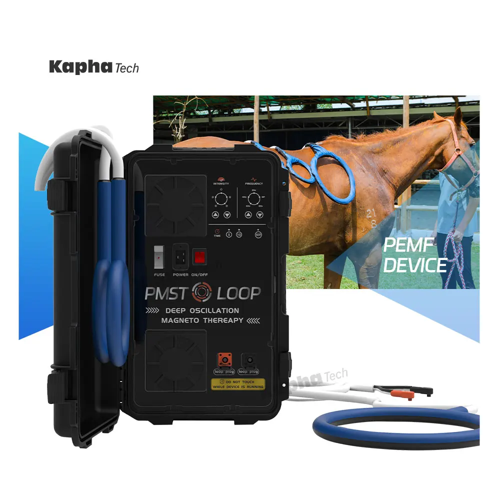 Уникальный дизайн PEMF машина PMST петля для здоровья лошадей продукт с одной петлей и бабочка
