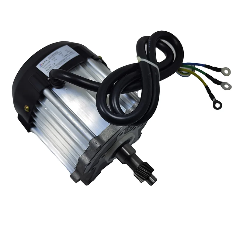 Factory direct wholesale  China Supplier High Efficiency 1000W DC Brushless Motor for electric Elec
