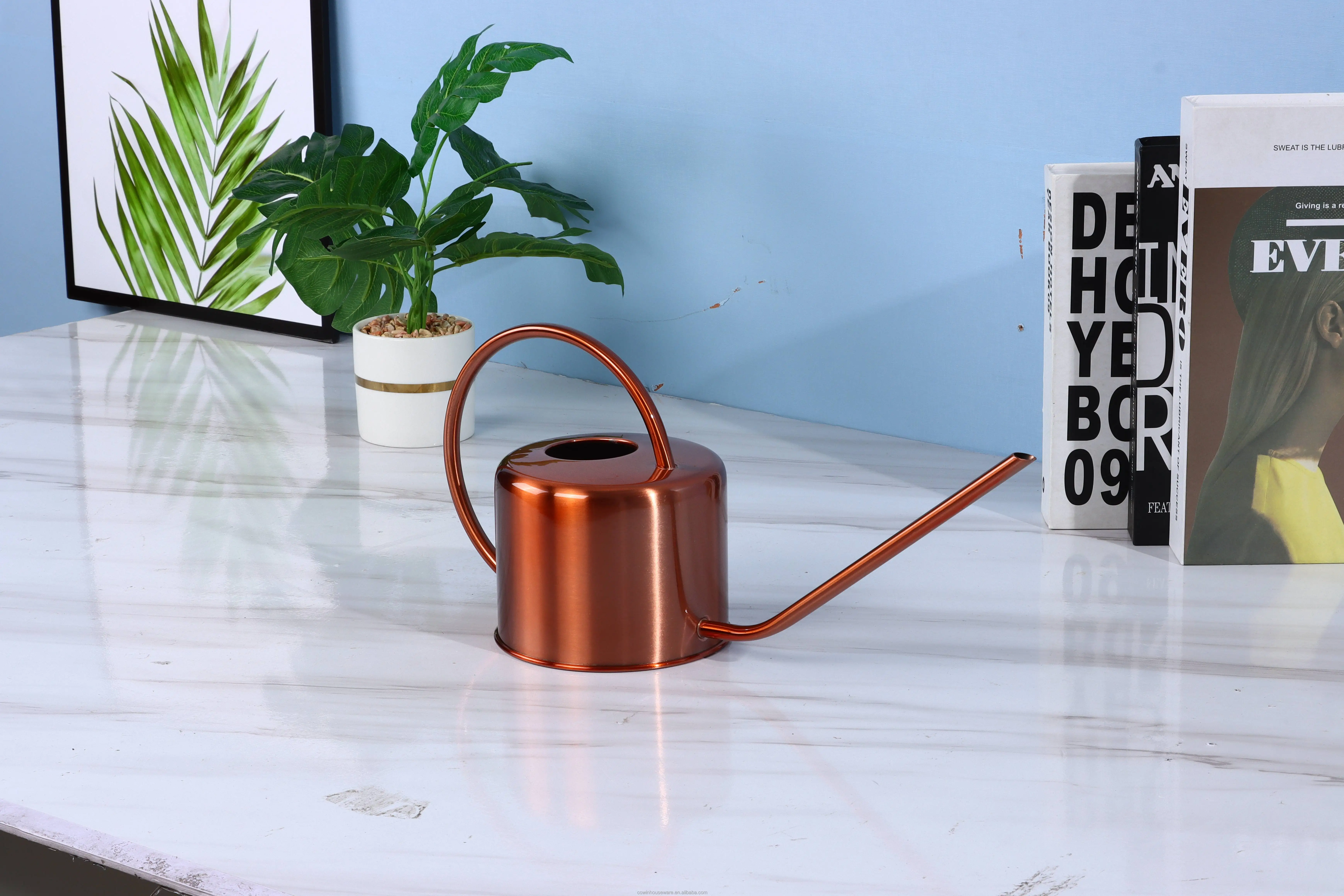 Outdoor Metal Stainless Steel Gardening Water Can Indoor Plants Flowers with Long Spout Watering can