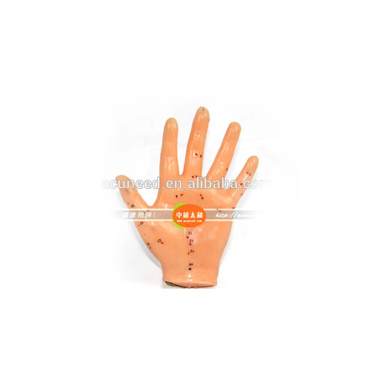 Chinese Acupuncture hand model 13cm Human body acupuncture point model