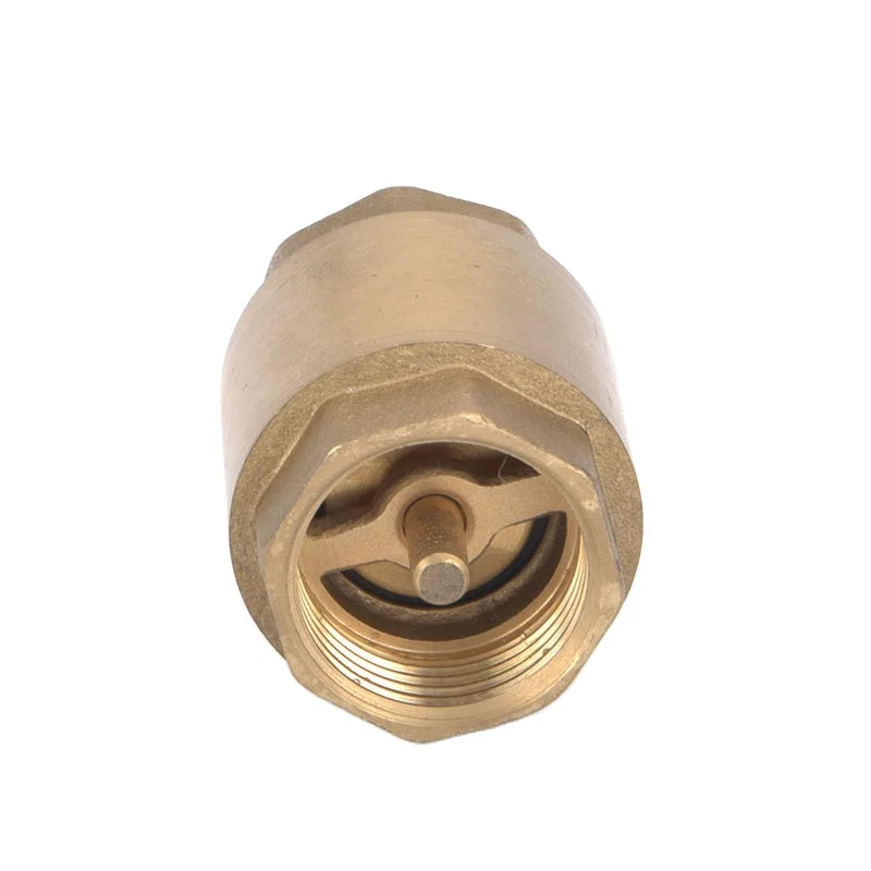 Manual Brass Check Foot Valve with Stainless Steel Filter General Application Non-Return Spring Check Valves for Water Media