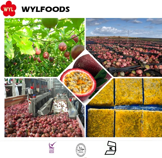 hot sale 2024 new  premium IQF passion fruits puree best quality