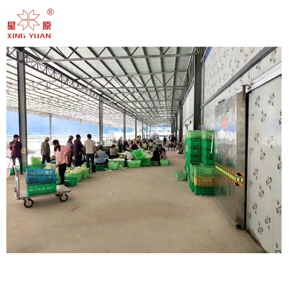 100T fruit and vegetable cold room storage with high quality compressor and long service life