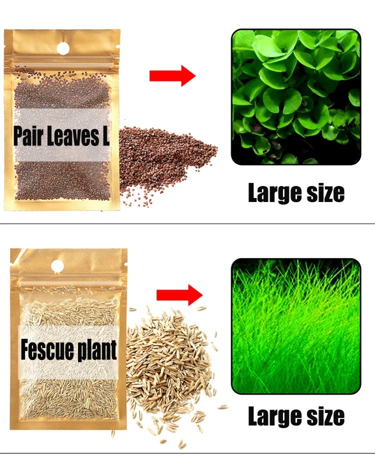Quality Aquarium Aquatic Plants Aquarium Real Aquatic Plants