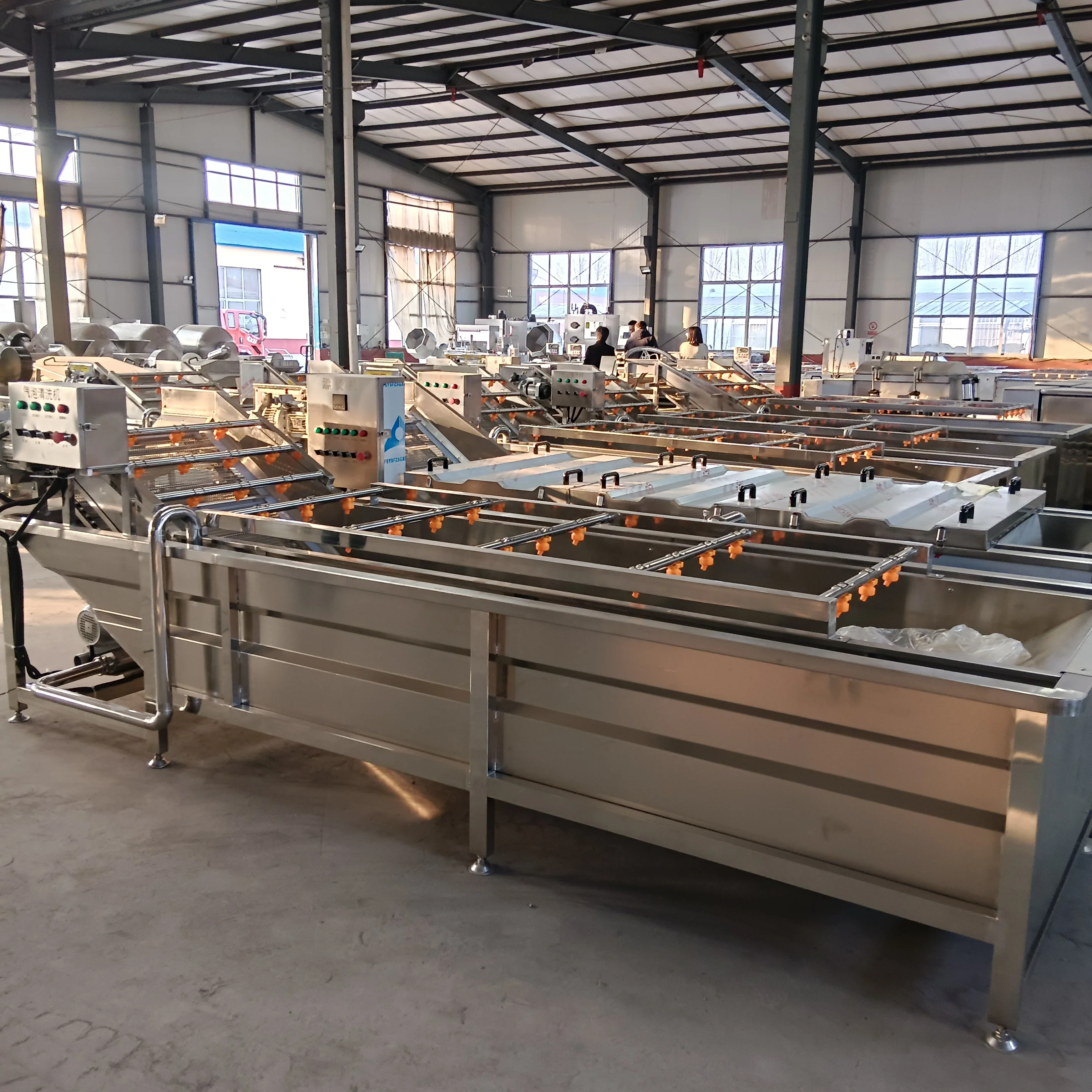 Stainless steel design fruit onion carrot vegetable bubble washing and drying cleaning machine line