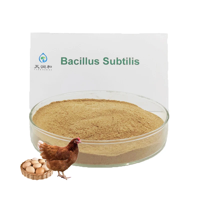 organic probiotic powder bacillus  bacillus subtilis capsules