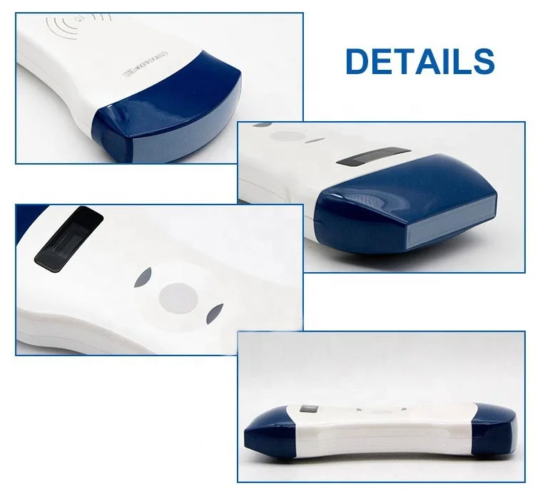 High Quality Double Head Ultrasound Convex and Linear Probe for Sale / Handheld Ultrasound Scanner Price