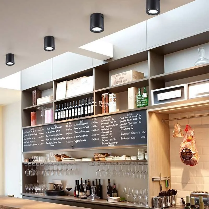 LED Surface Mounted Downlight Free Opening Living Room Exhibition Hall 3.5 Inch 4 Inch 5 Inch 6 Inch Ceiling Light