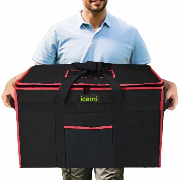 Large Disposable Backpack Thermal Mini Fish Kids Ice Cooler Bag 6l Small Insulated Beach Bags to Keep Food Cold for Takeaway