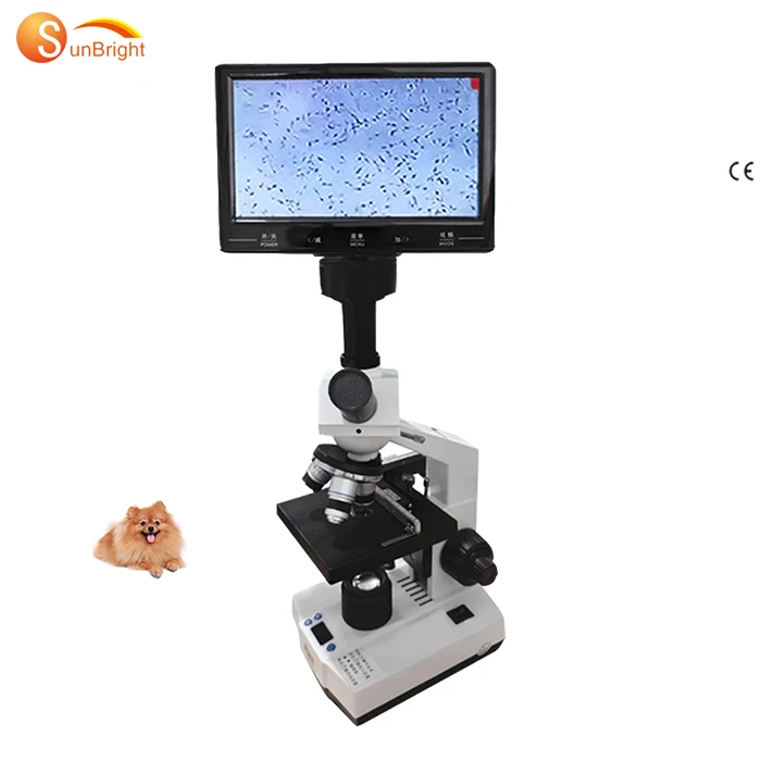 High resolution 9 inch screen constant temperature vet microscope for sale