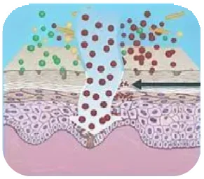 
Foundation raw material,Lasting lipstick and skin care ingredient, hair care raw material glyceryl glucoside 