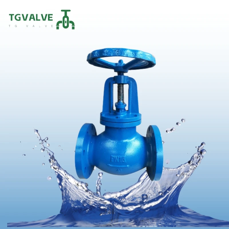 Metal valve factory high temperature forging cast iron ductile iron bellows national standard flange globe valve