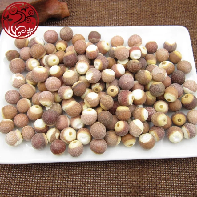 
whole gorgon fruit Qian shi dried botanicals herbs 