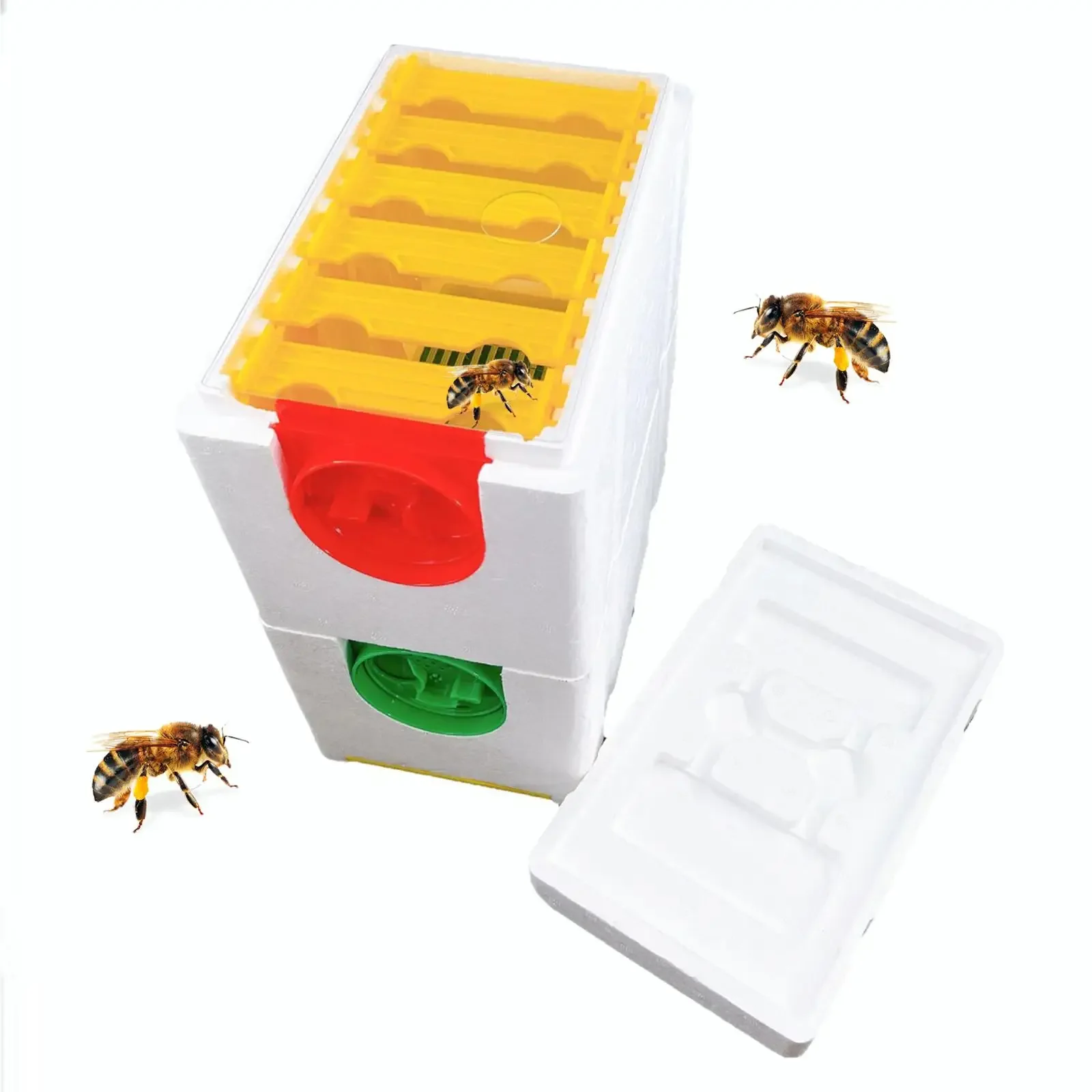 Hot sales The Double Layer Queen Bee Rearing Nuc box Mini Mating Nuc Beehive Box For Beekeeping
