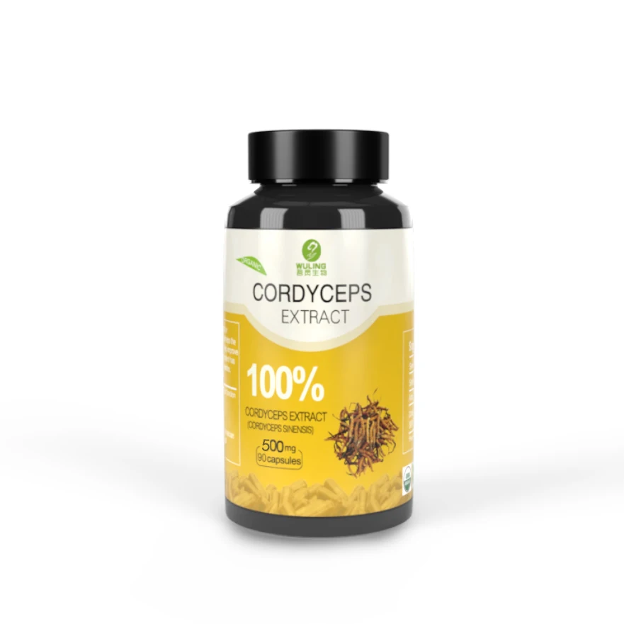 supplement food Health Care Supplement cordyceps Sinensis capsule Polysaccharide Cordyceps Militaris Mushroom Capsule
