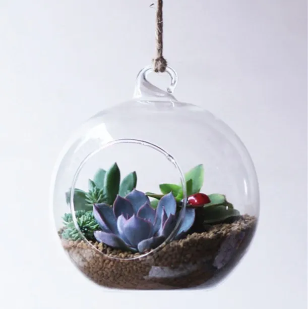 HDW factory manufacturer cheap wholesale Flower Plant Terrarium Decoration Glass Vase for home decoration