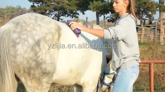 Plastic Horse Dandy Brush With Long Stiff PP Bristles Flick brush for Effective Horse care