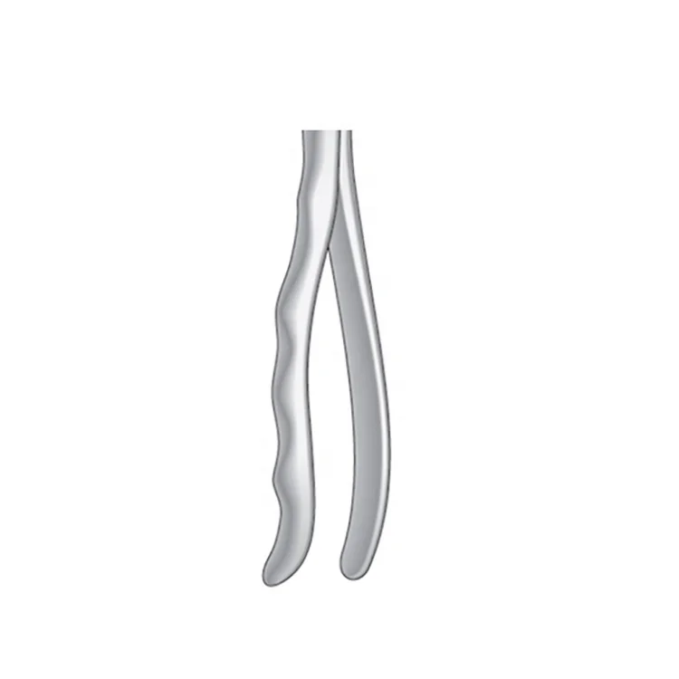 Less Price Manufacture Wholesale Supplier Dental Extracting Forceps Anatomical Handle