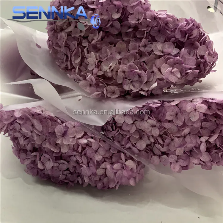 Preserved Long Stem Hydrangea Flowers Cut Fresh Flower For Wedding