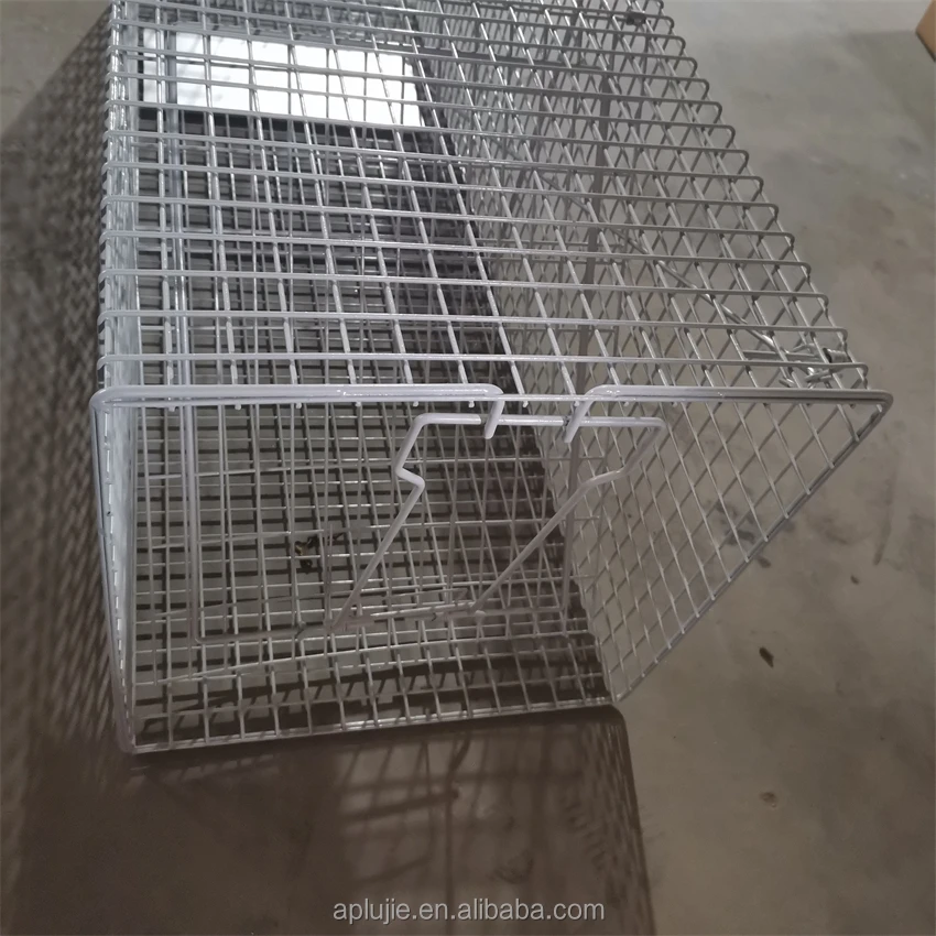 Hot Sale Collapsible Galvanize Trap Cage Catch Snake Cat Mouse Dog Fox Cage Trap