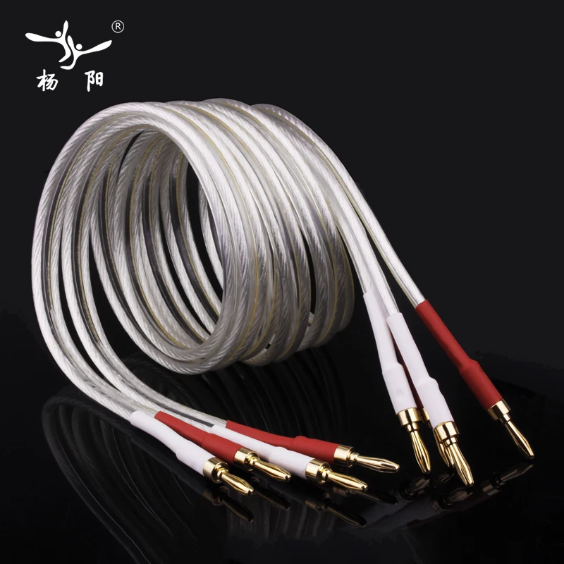 YYAUDIO Y-SP-450 6N OFC HIFI Silver plated speaker cable is designed for use in professional hi-fi systems