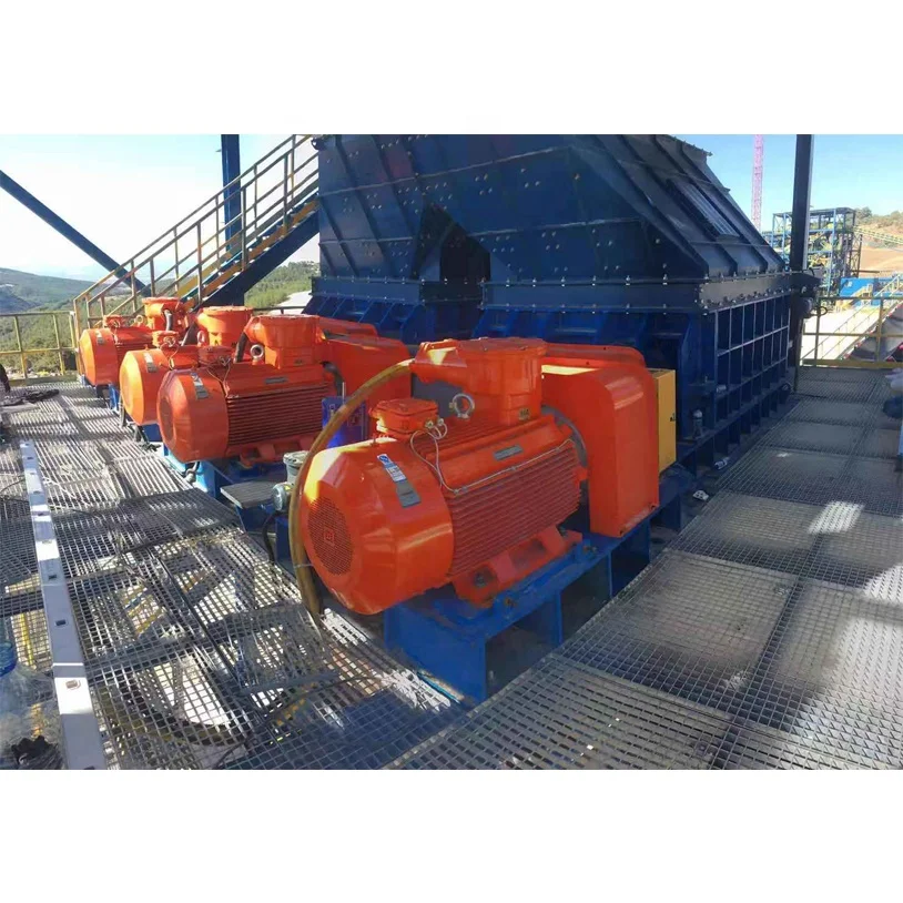 China machine manufacturer coal roller crusher price sizer machine in coal washing plant for sale in Russia