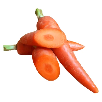 Buy Fresh Carrot Sweet Clean Carrot 2024 New Crop