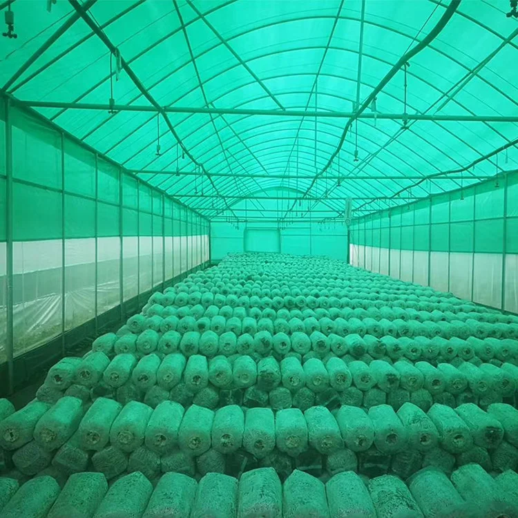 50% Small Agricultural Agriculture Garden Green House Sunshade Sun Shade Mesh Net