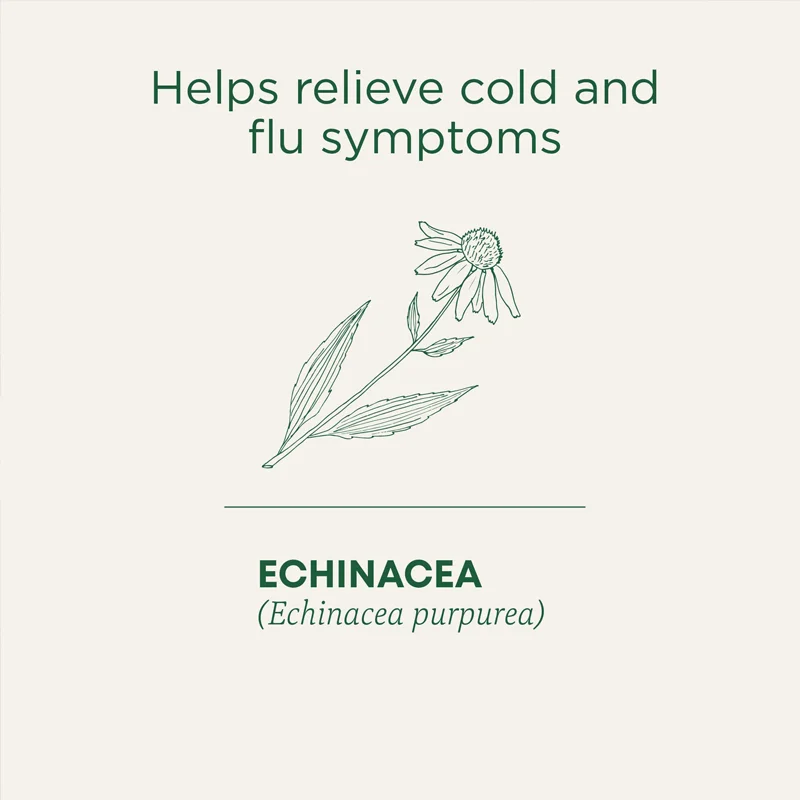 Echinasea tea ECHINACEA double chamber teabags