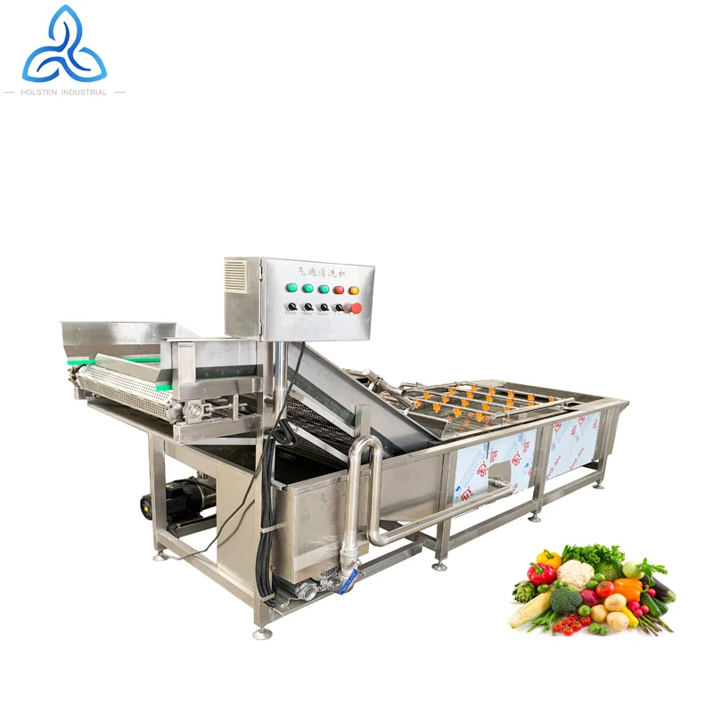 Fruit Spray Cabbage Lettuce Washer Machine Wolfberry Cabbage Washing Machine Cherry Tomatoes Pepper Cleaning Machine