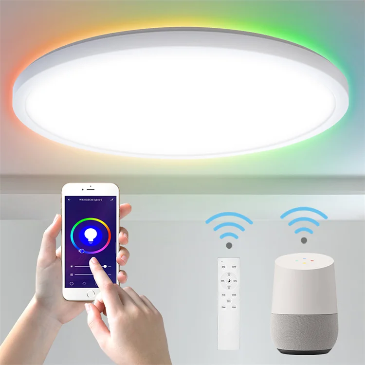 RGB TUYA WIFI Smart Light Round Flush Mount Led Smart Ceiling Light for Living Room Office