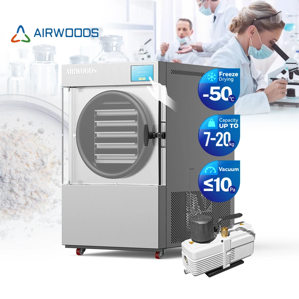 Home Freeze Dryer Patented Exquisite Appearance Small Food Freeze Drying Dryer Equipment With Independent Probes