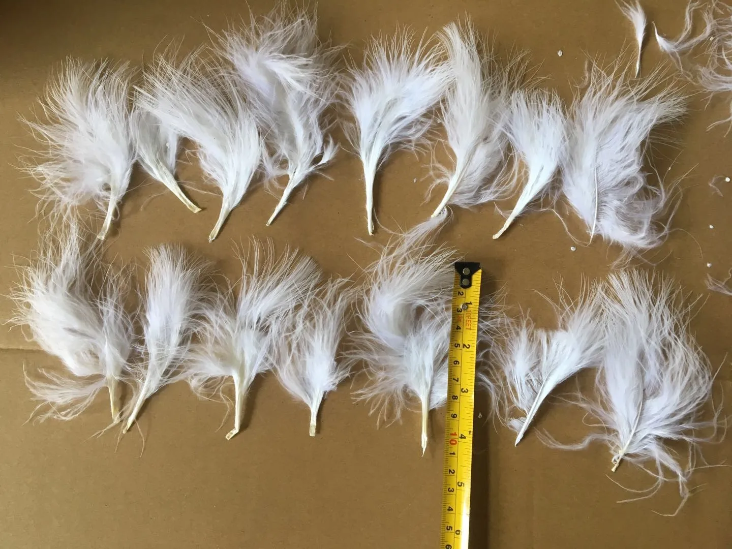 Natural Real Bulk Marabou Turkey Feather for Kid Novelty DIY Craft Accessory Hair Costume Fishing Fly Tying Material   Decor