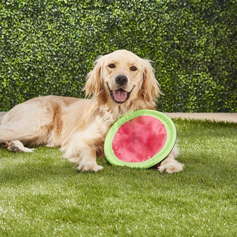 2023 New Style soft rubber nylon training silicone flying disc pet dog toy