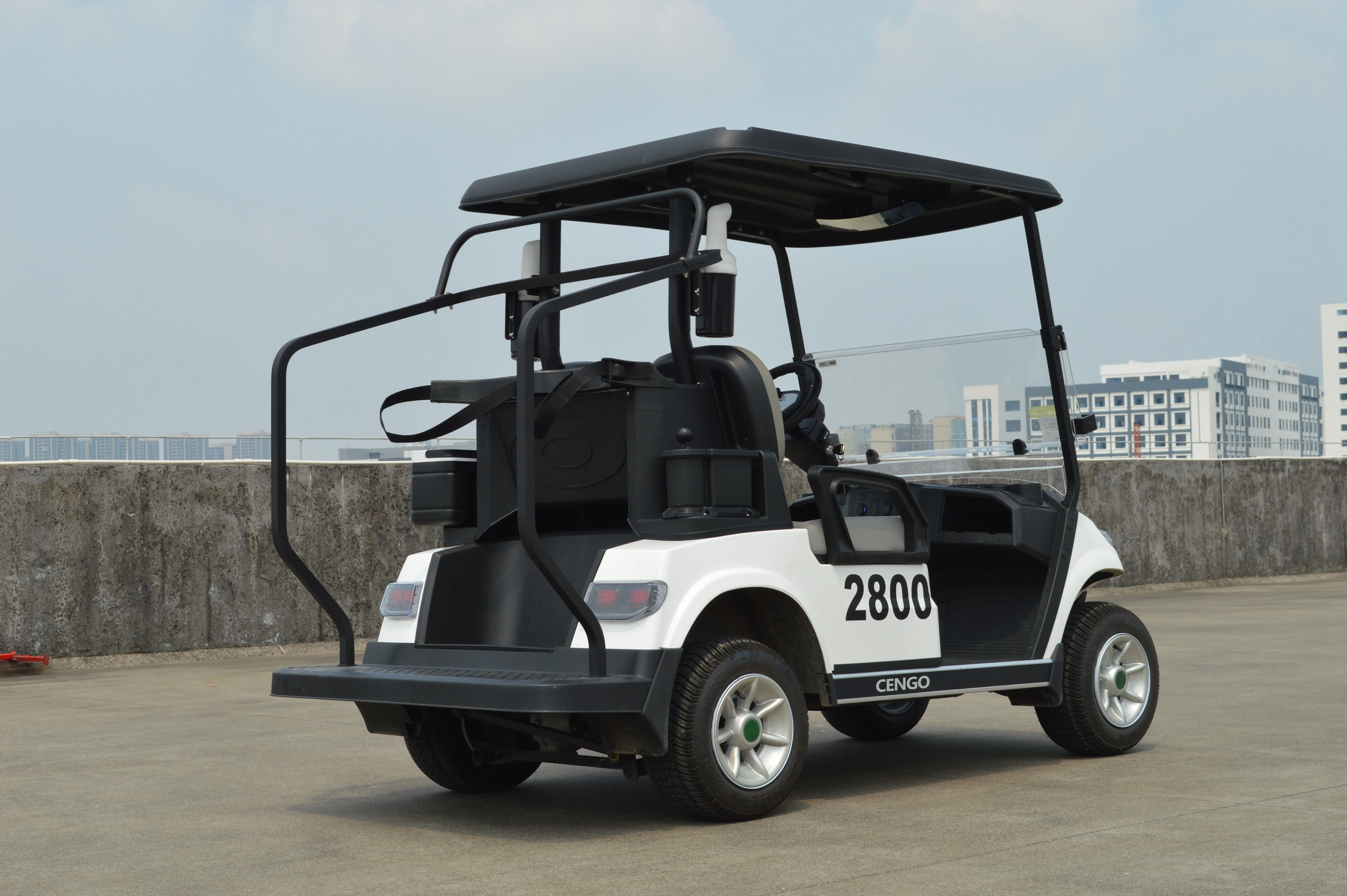 2 4 6 Seat Electric Lithium Battery Golf Cart Hunting Golf Buggy car with DOT EEC