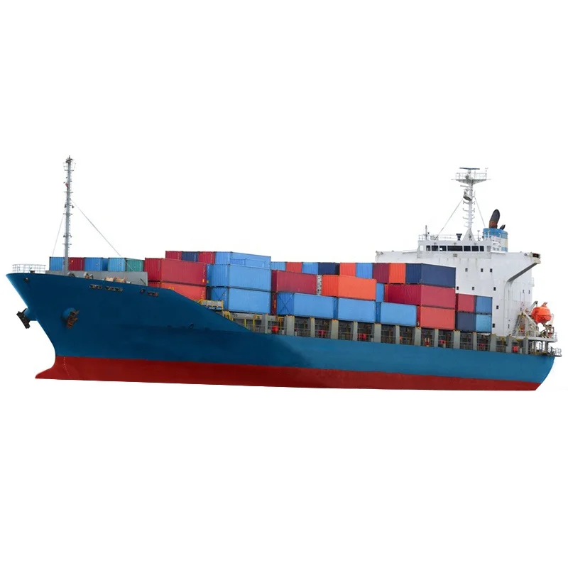 sea shipping cost customs clearance export agent service from china shipping agent DDP door to door to Europe