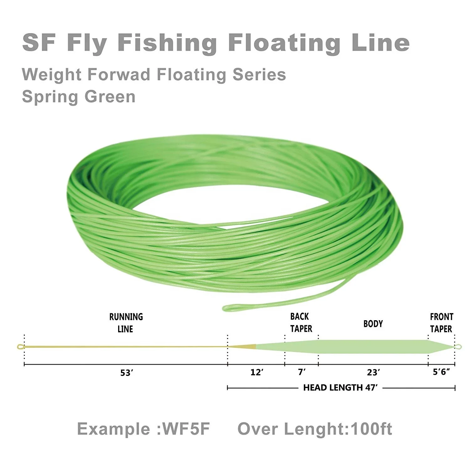 Fly Fishing Floating Line with Welded Loop Weight Forward Fly Lines 100FT  WF 3 4 5 6 7 8 9 WT