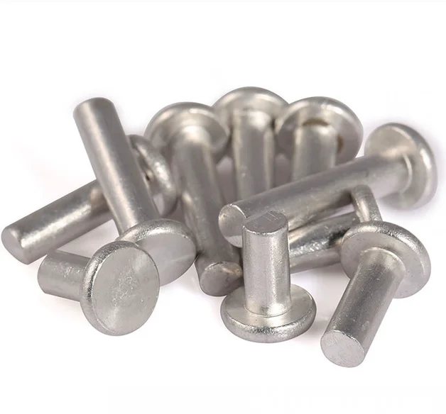Stainless Steel Aluminum Copper 2mm 2.5mm 3mm 6mm Flat Head Solid Rivet with Factory Price