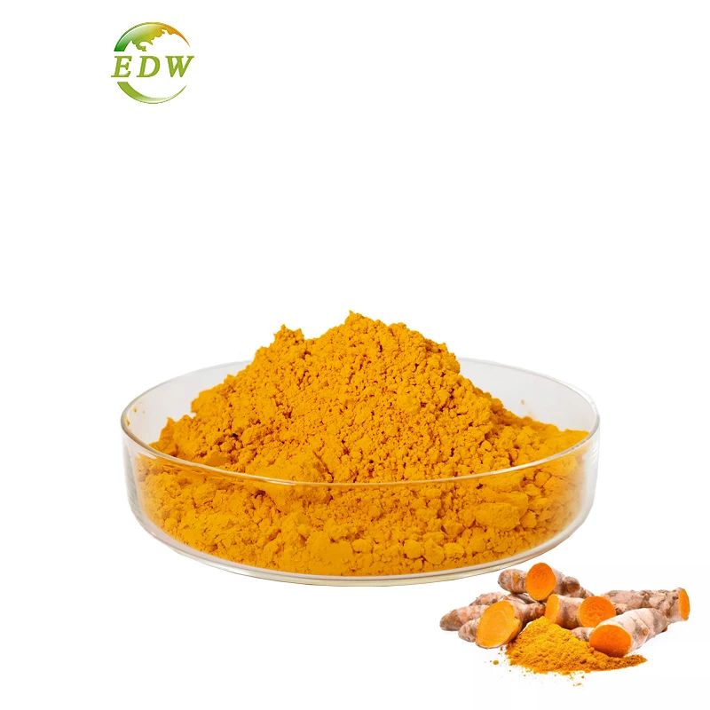 Good Price Turmeric Root Extract Powder Water Soluble Curcumin 10% 95% 98% 99% Supplement