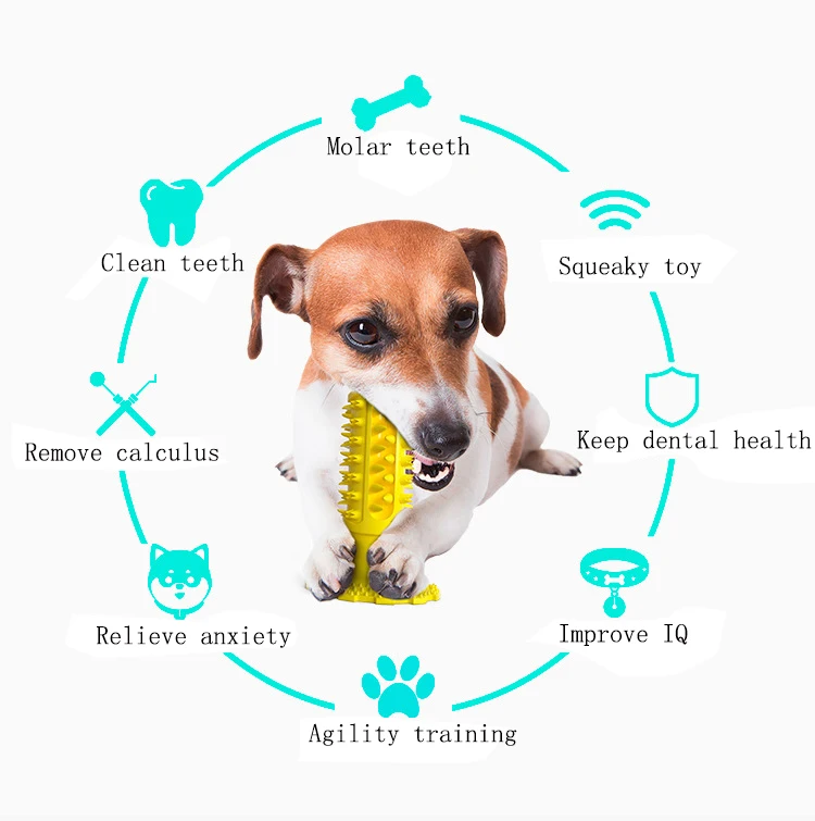 High Quality TPR Teeth Cleaning Serrated Molar Rod Pet Dog Playing Chew Toys Dog Toothbrush Pet Supplies