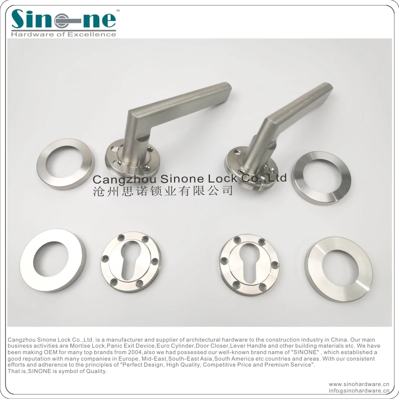 ALL SS304 Solid Casting Door Lever Handle on rose Special Luxury finish with heavy duty horizontal return spring EN1906